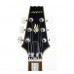 Aria PRO II PE-DLX/K  Električna gitara